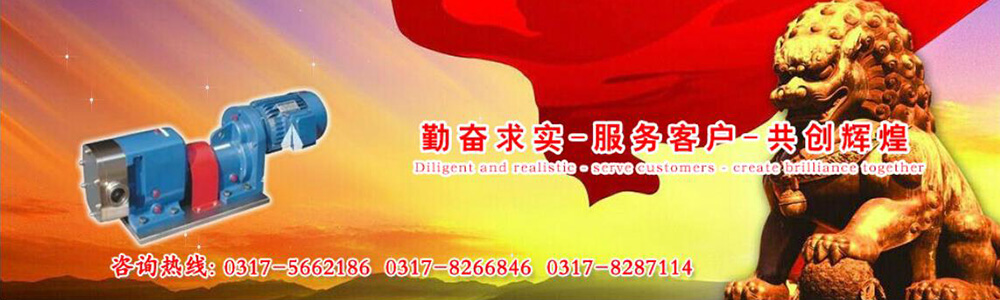 凸轮转子泵,转子泵,凸轮式双转子泵,转子泵厂家